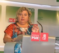 PSOE-A pide a Zoido que se sume al "gran pacto por Andalucía" propuesto por Griñán