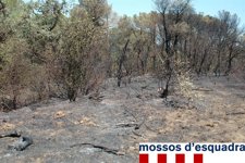Efectos del incendio en Cruïlles