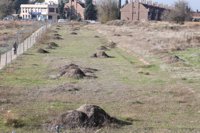 Junta, sorprendida por el "interés inusitado" ahora de Page por el urbanismo tras 6 años de la paralización de Vega Baja