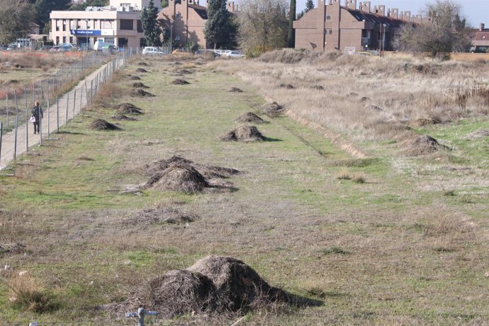 YACIMIENTO ARQUEOLÓGICO VEGA BAJA