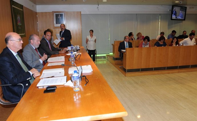 Pleno de la Diputación de Sevilla. 