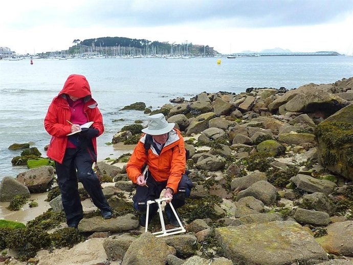 Vigo Foto Estudio Almeja