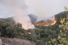 Incendio Del Empordà
