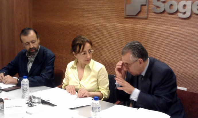 Consejo De Administración De Sogepsa