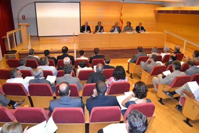 Reunión Diputación De Lleida Con Consejos Comarcales Y Capitales Comarca