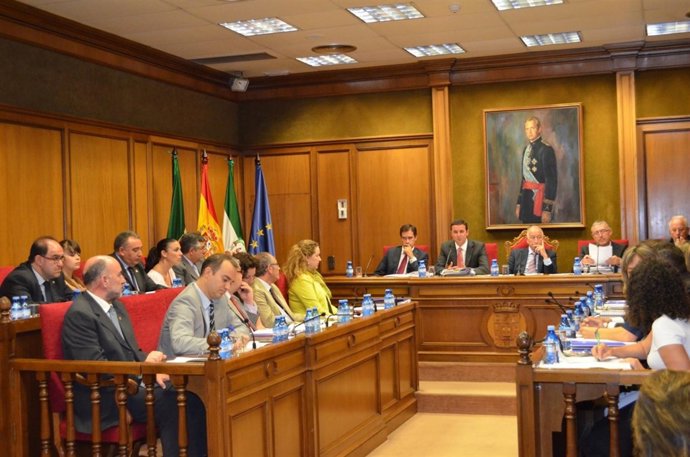 Pleno de la Diputación de Almería 