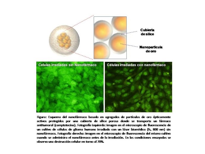 Figura Nanofármaco Híbrido
