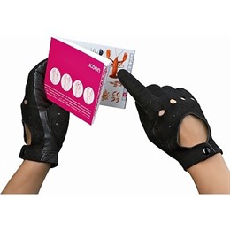 Diccionario Visual Icoon 