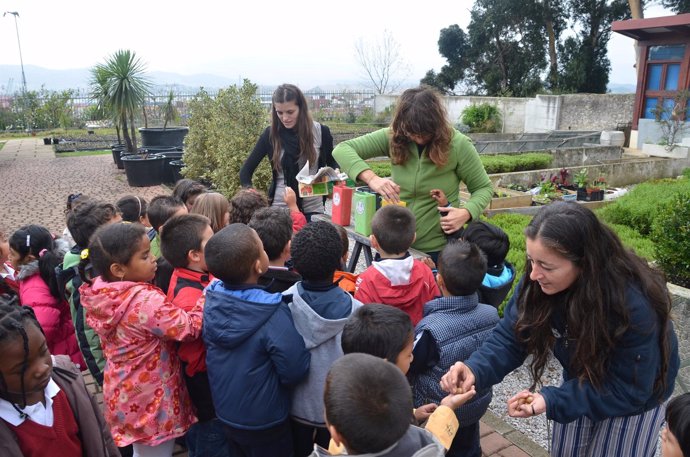 Niños participan en talleres ambientales en Santander 