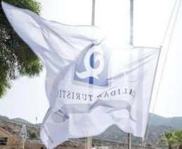 Bandera Q De Calidad