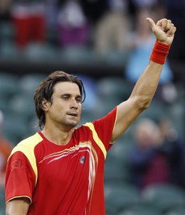 El tenista español David Ferrer 