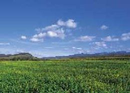 Navarra registró en julio un tiempo seco y temperaturas por debajo de la media