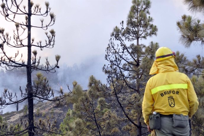 Incendio De Adeje