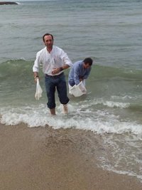 El Govern y el Imedea liberan en la Bahía de Palma un total de 5.000 ejemplares alevines de corbina