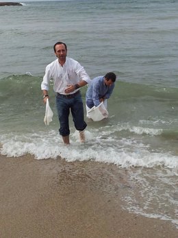 José Ramón Bauzá Y Gabriel Company