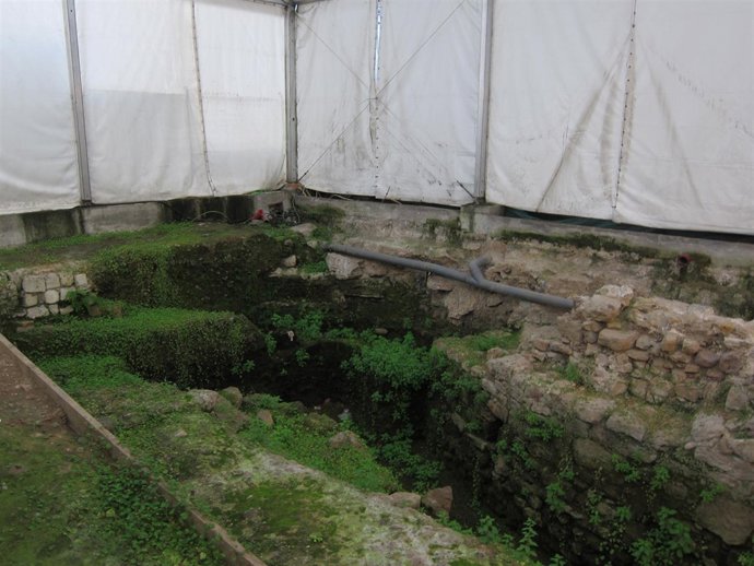 Carpa Plaza Porticada 