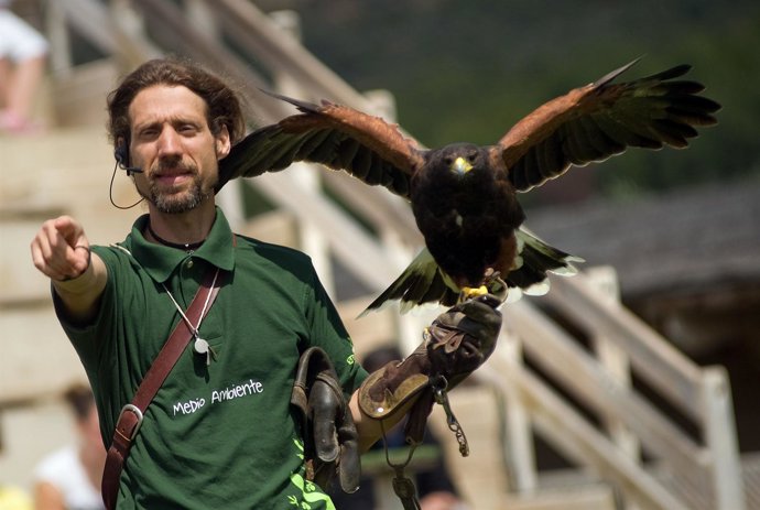 Rapaces en Sedaviva.