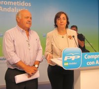 PP-A dice que el pago de la sanidad para extranjeros e inmigrantes irregulares supone una forma de "optimizar recursos"
