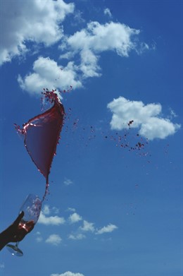 Foto ganadora certamen CVNE