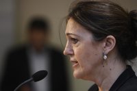 PSOE: el Gobierno quiere hacer "lo mismo que Alemania con España"