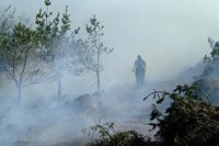 Gobernación amplía la preemergencia por riesgo de incendios forestales a toda la Comunitat