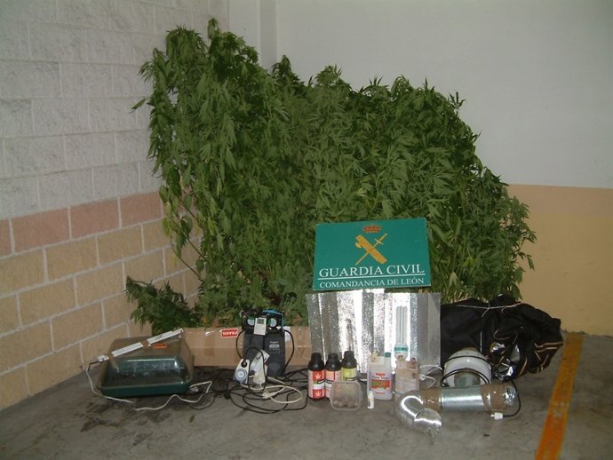 Material intervenido por la Guardia Civil