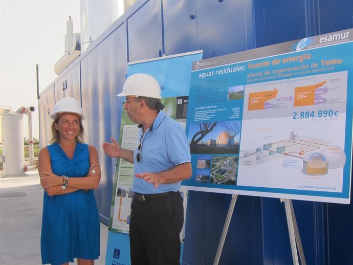 Consejero Agricultura, Cerdá y concejala Medio Ambiente, Martínez-Cachá 