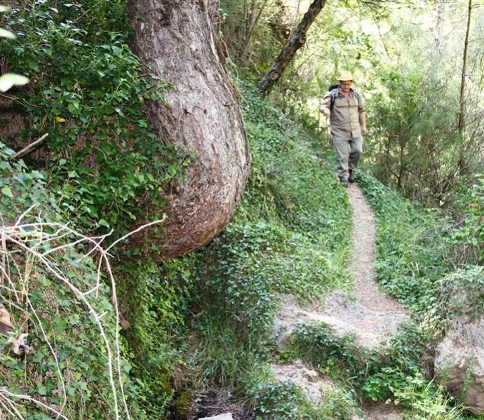 Juan Valero, Camino De Las Ardillas