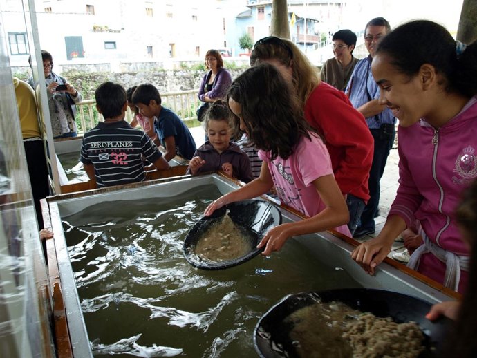 Museo Del Oro De Tineo