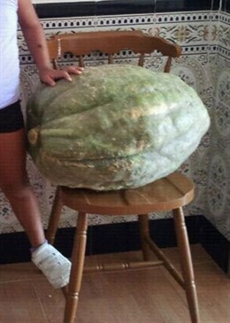 Imagen de la calabaza