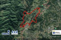 El incendio de Tenerife cuenta con dos focos activos y afecta ya a 90 hectáreas