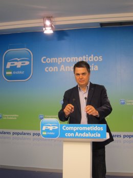 El portavoz del Grupo Popular en el Parlamento andaluz, Carlos Rojas