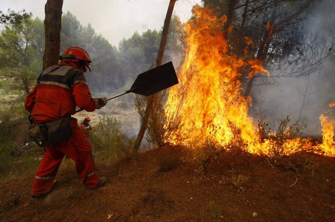Tareas de extinción en los incendios de Alicante
