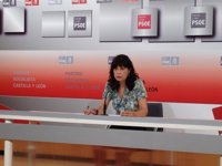 El PSOE lamenta que los nuevos impuestos "mermen" la capacidad adquisitiva de los ciudadanos y su calidad de vida