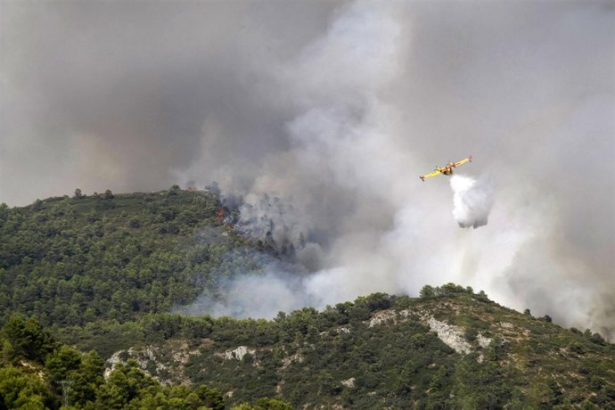 Fuego de Alicante (Torremanzanas)
