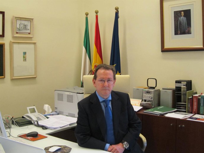 El Consejero De Justicia E Interior De La Junta De Andalucía, Emilio De Llera