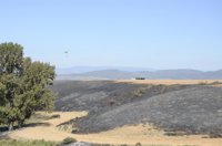 Medio Ambiente destina 74 millones de euros contra los siniestros forestales en 2011