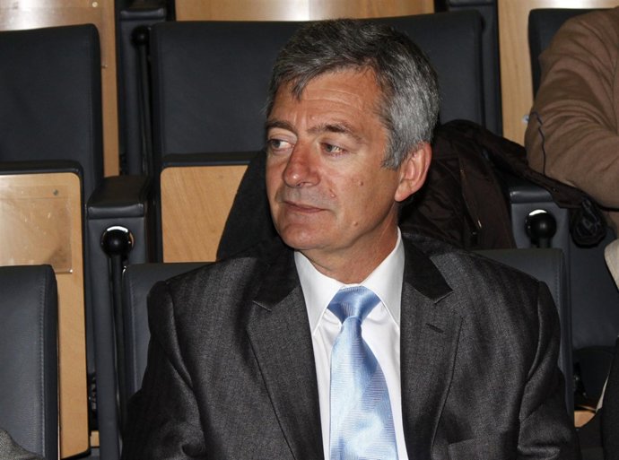 Fernando Carpena, Presidente De La RFEN