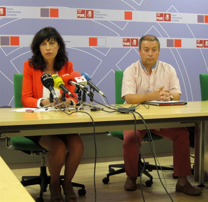 Redondo y Cruz, durante la rueda de prensa en las Cortes de CyL.