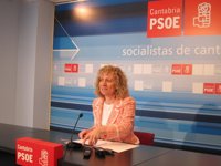 El PSOE estudia recurrir el concierto al Torrevelo por posible "fraude de ley"