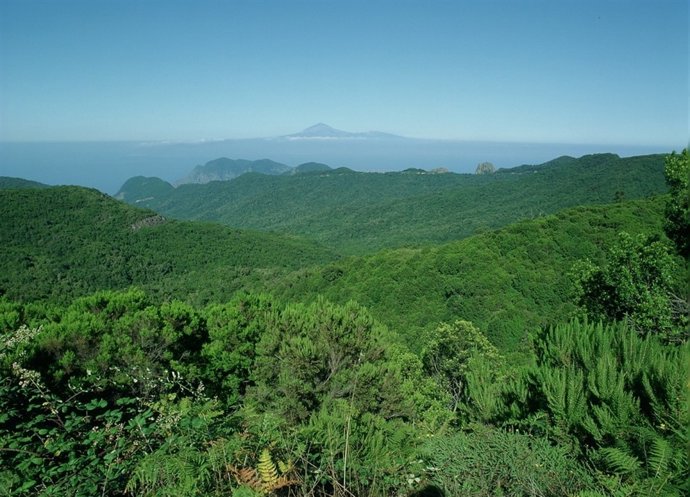 Parque Nacional De Garajonay