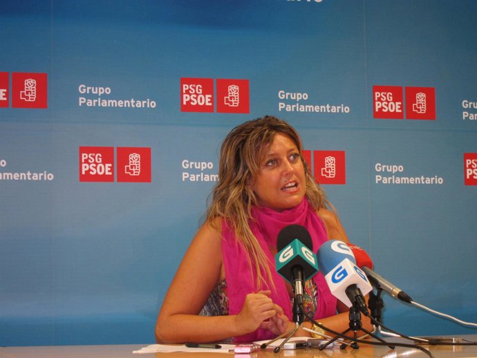 La Diputada Del Psdeg Beatriz Sestayo En Rueda De Prensa