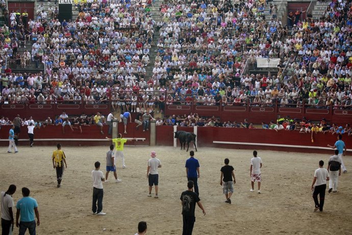 Instantánea de las fiestas de 2009 en Leganés