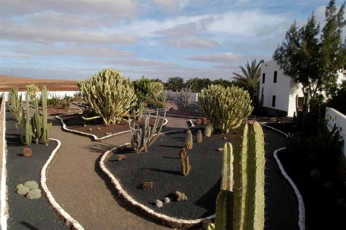 Jardín de Cactus de Antigua, en Fuerteventura