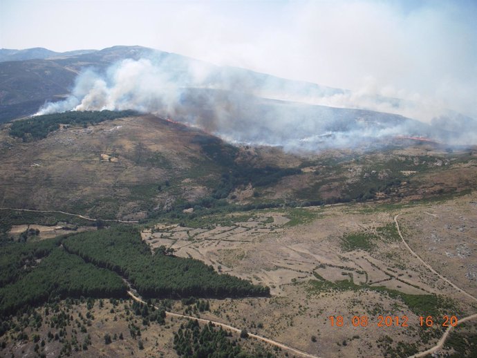 Incendio declarado en solana de Ávila