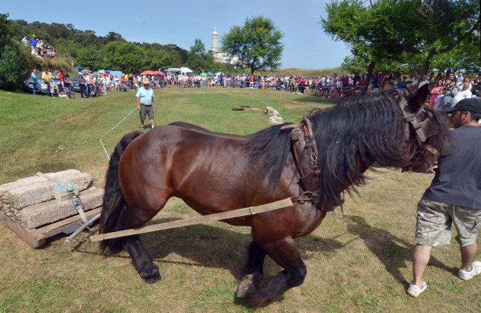 Romería del Faro de Santander