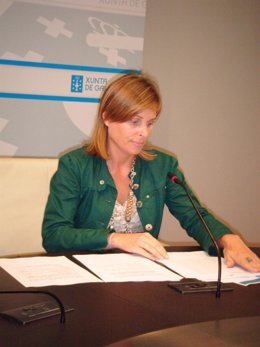 La directora xeral de Comercio, Nava Castro