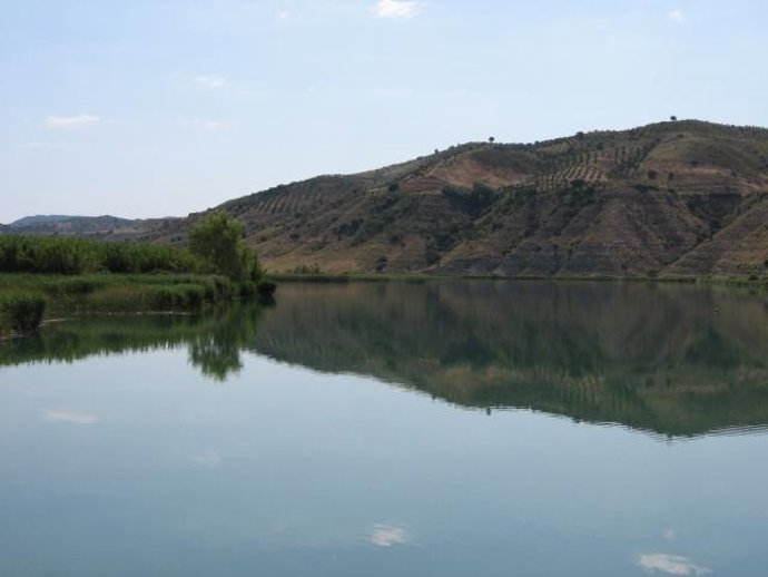 PRESA DE ALMOGUERA