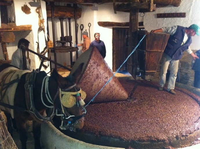 Elaboración Del Aceite