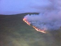 Diputación de Álava pide seguir extremando las precauciones para evitar incendios